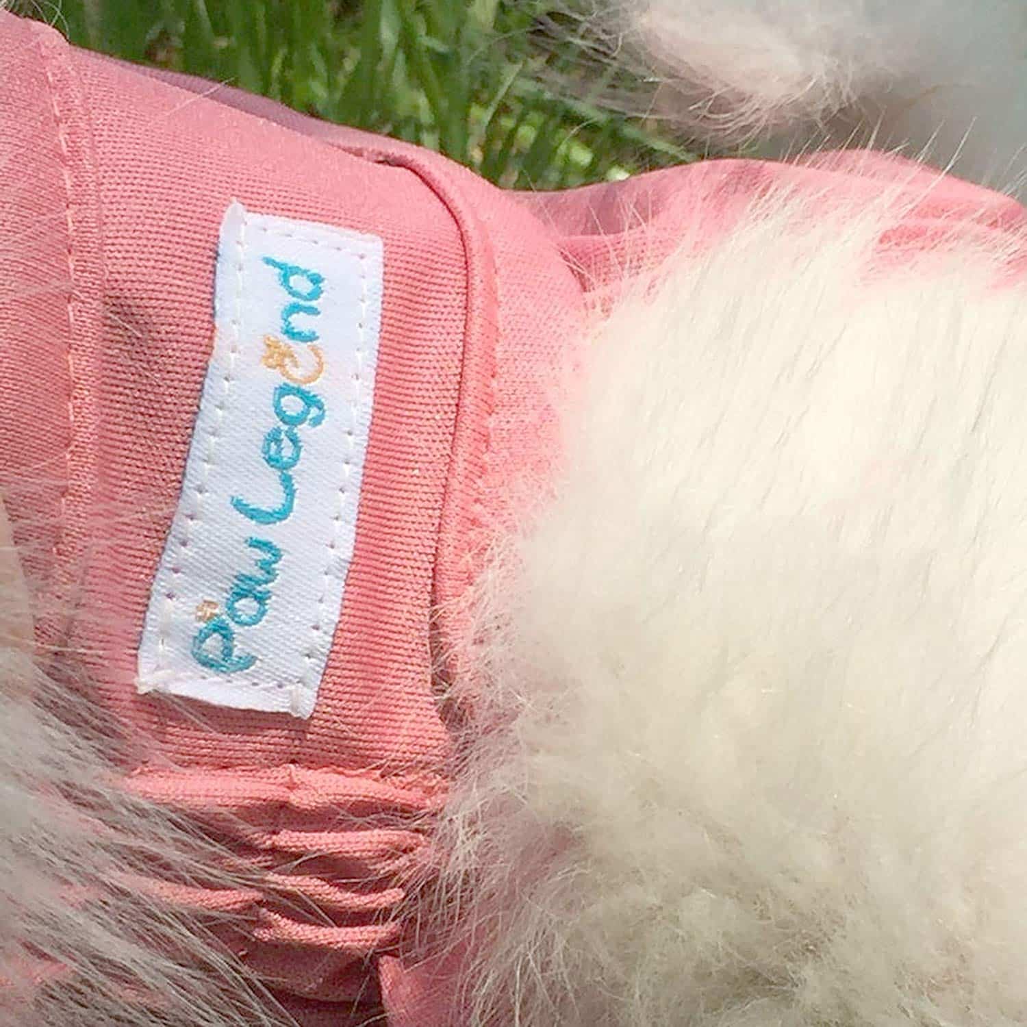 Diapers For Yorkies PetCosset