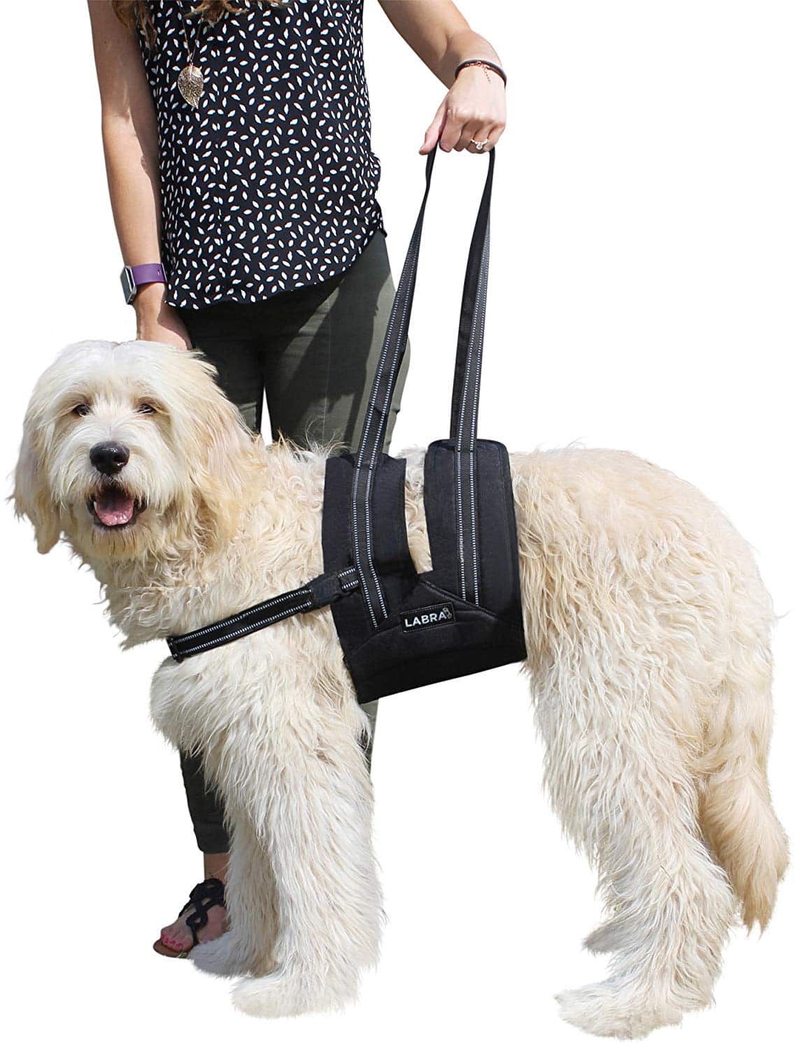 Dog Slings For Handicapped you should know about PetCosset