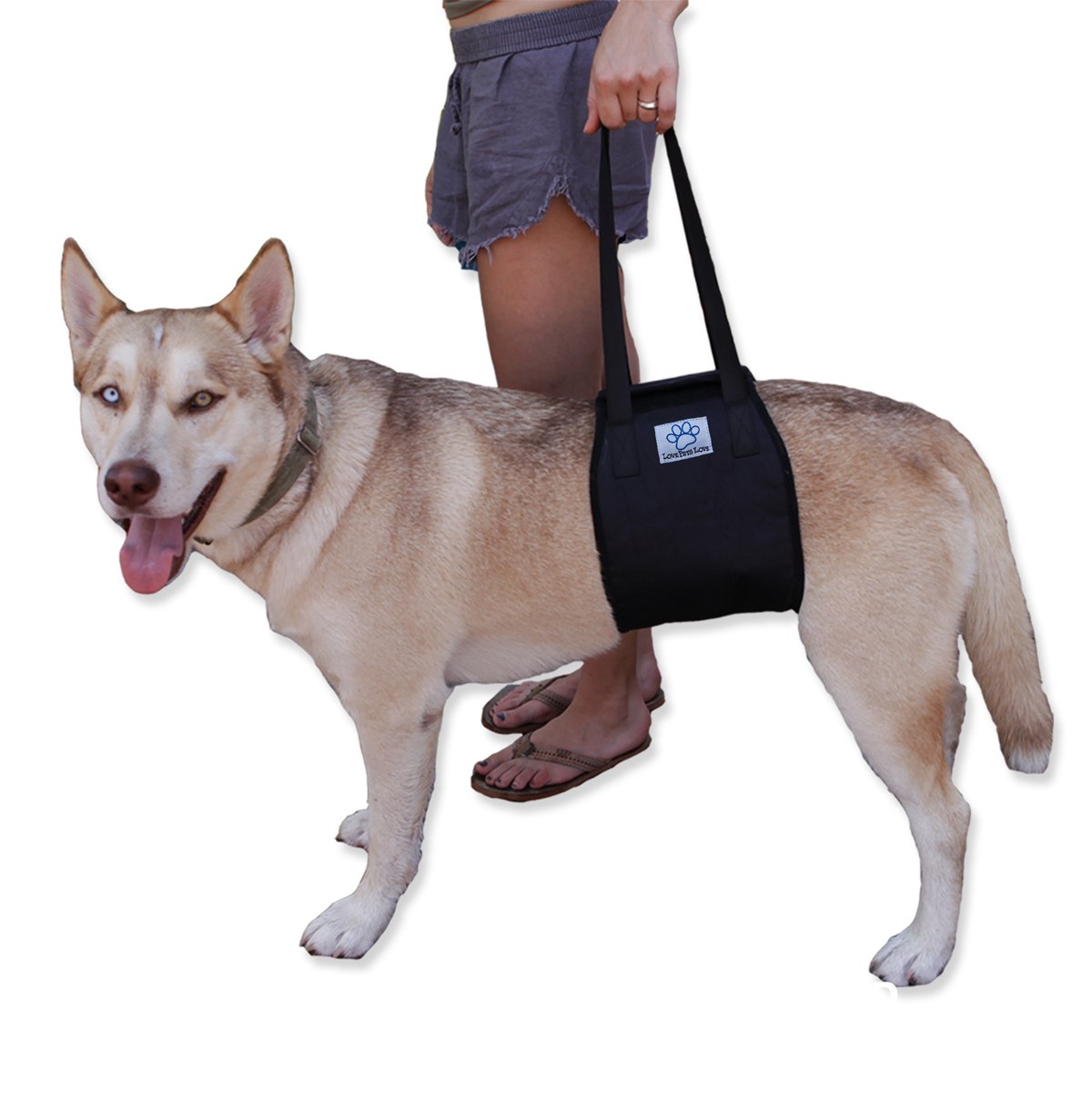 Dog Slings For Handicapped you should know about