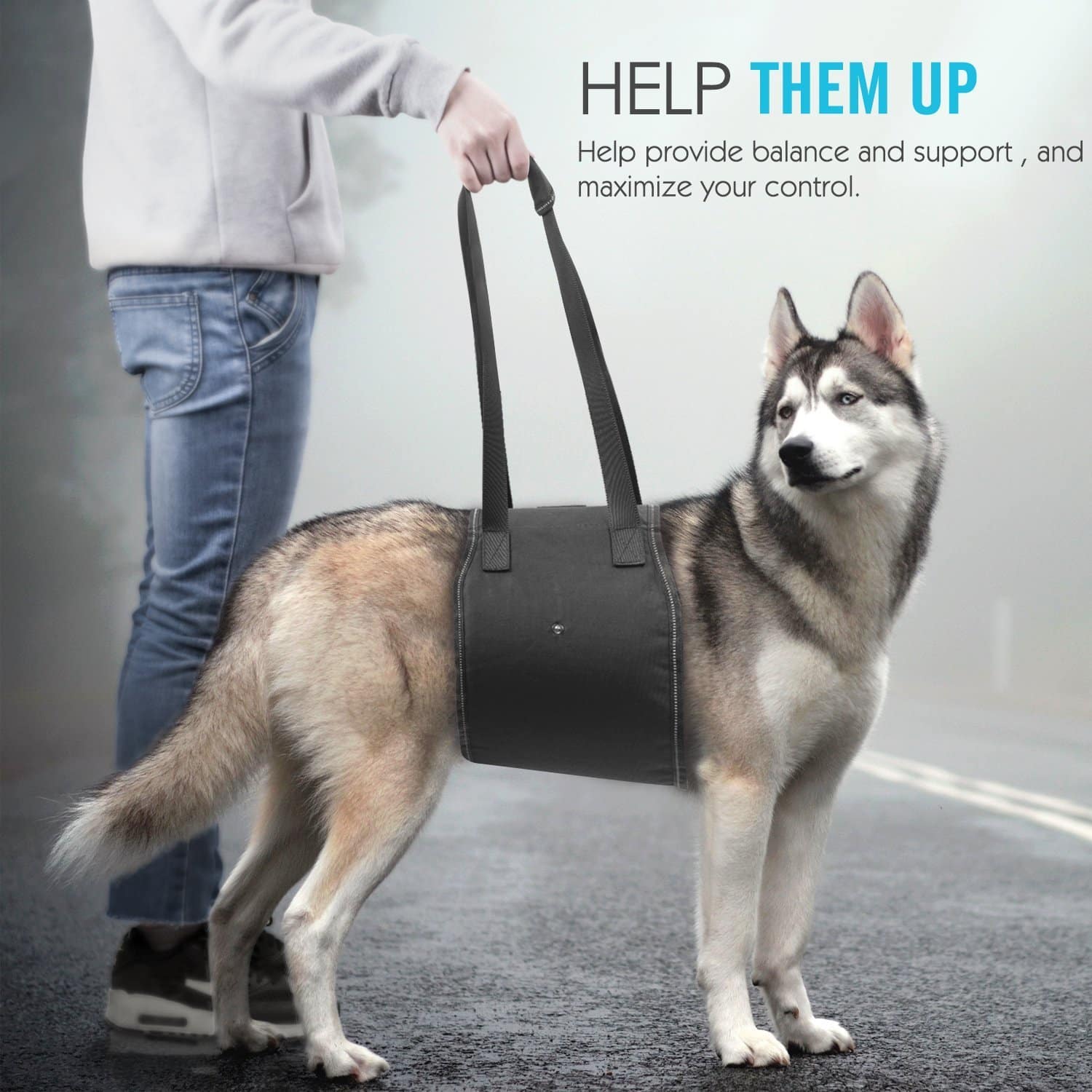 Dog Slings For Handicapped you should know about PetCosset