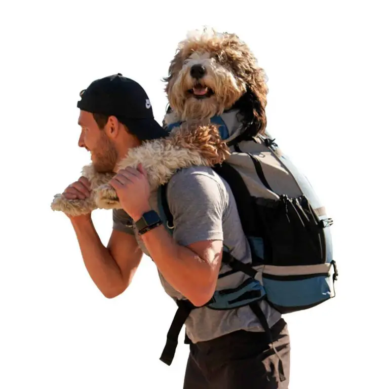 dog carrier backpack 60 lbs