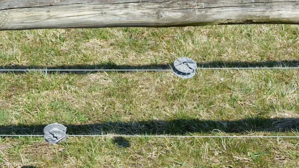 Electric Fence Hurt A Dog at Forrest Nielson blog