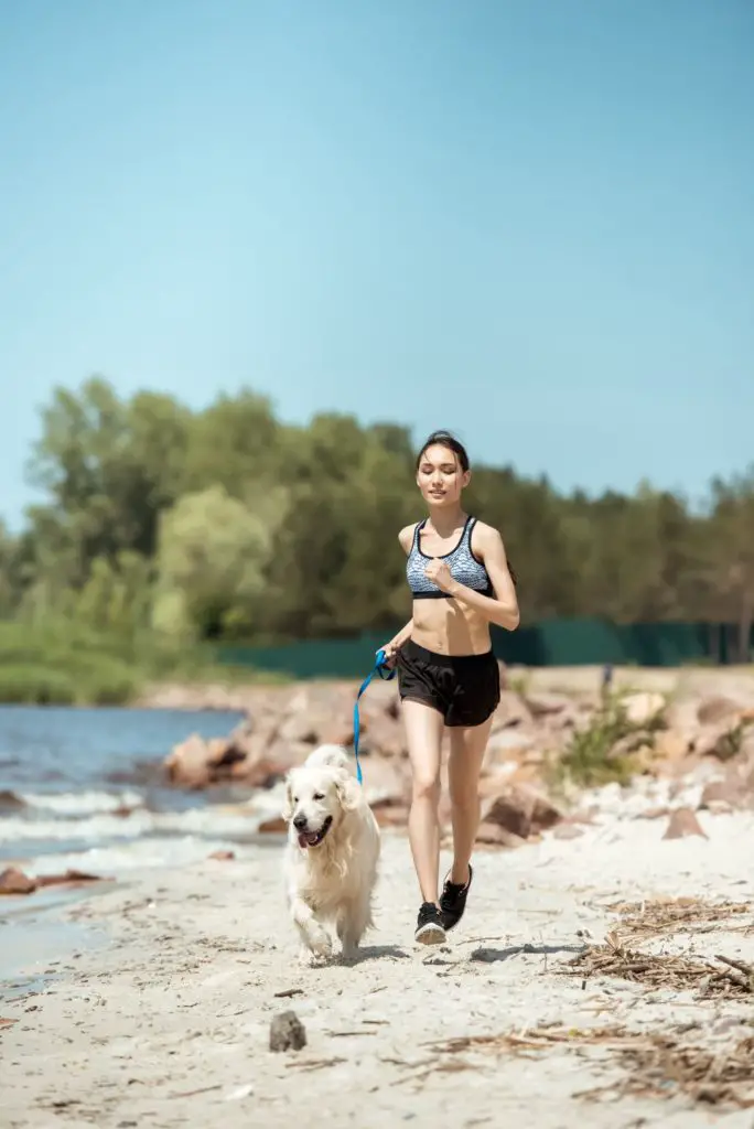 what makes dog capable of running so fast