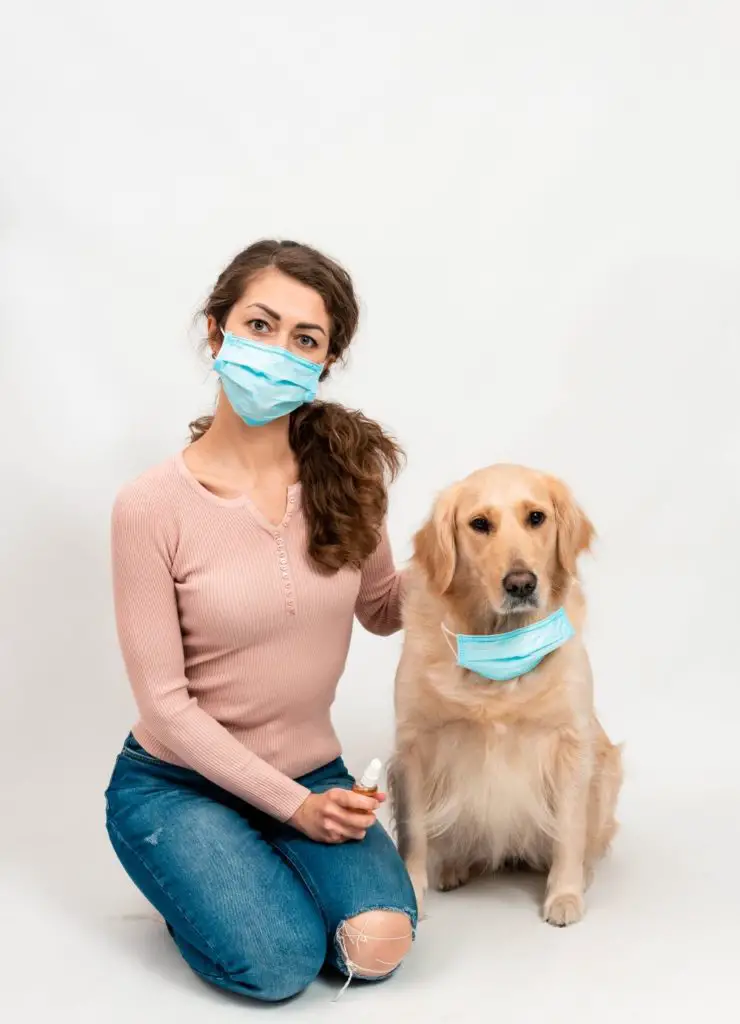 what are the signs of respiratory distress in a dog