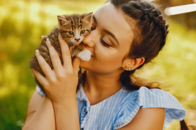 How To Raise A Kitten: 8 Important Reminders