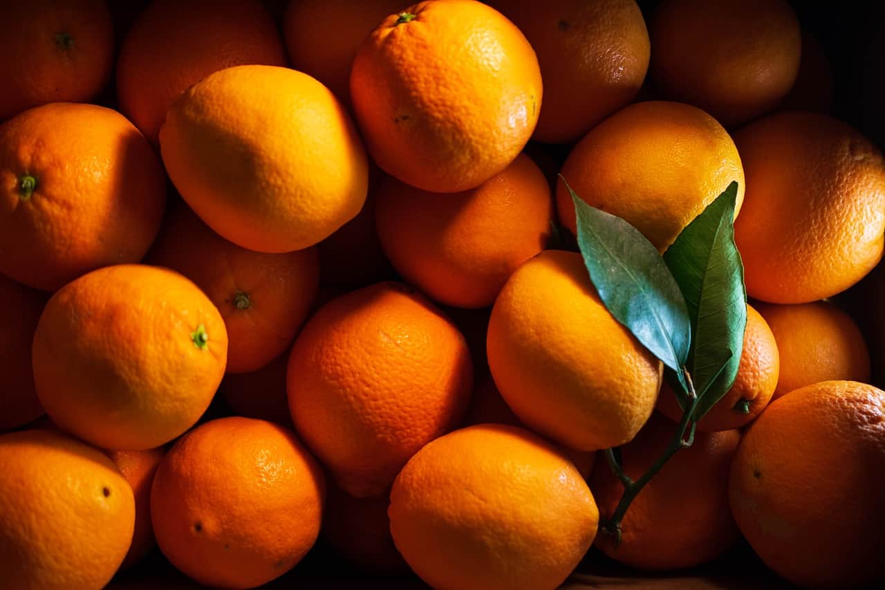 Can Guinea Pigs Eat Mandarin Oranges