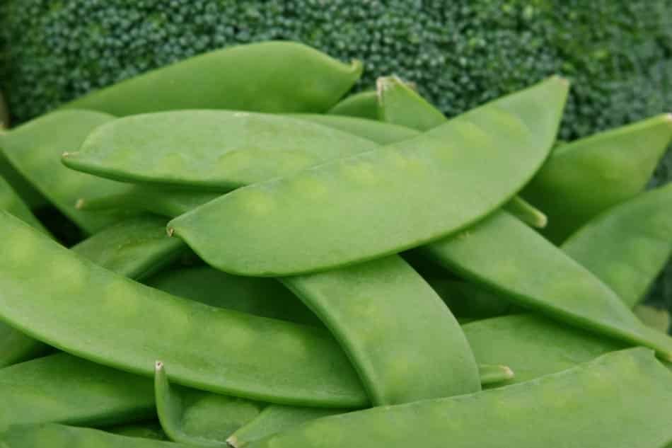 are pea pods good for dogs