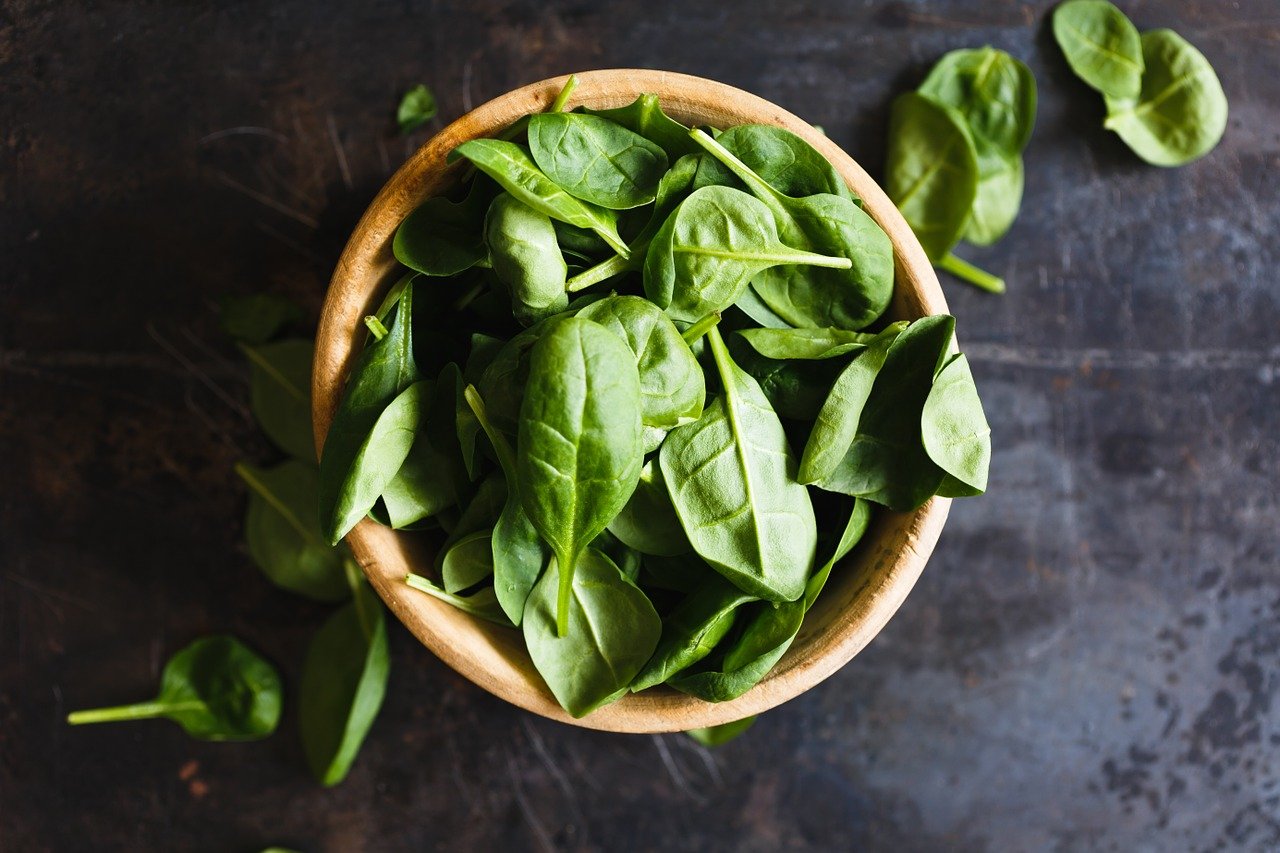 Can Cats Eat Spinach? Read This First!