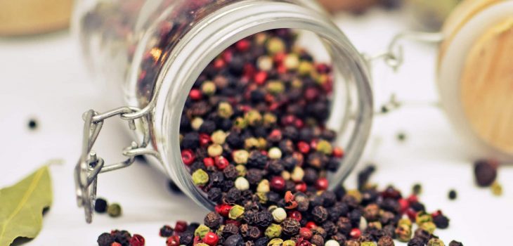 Can Dogs Eat Black Pepper? Is Black Pepper Safe for Canines?