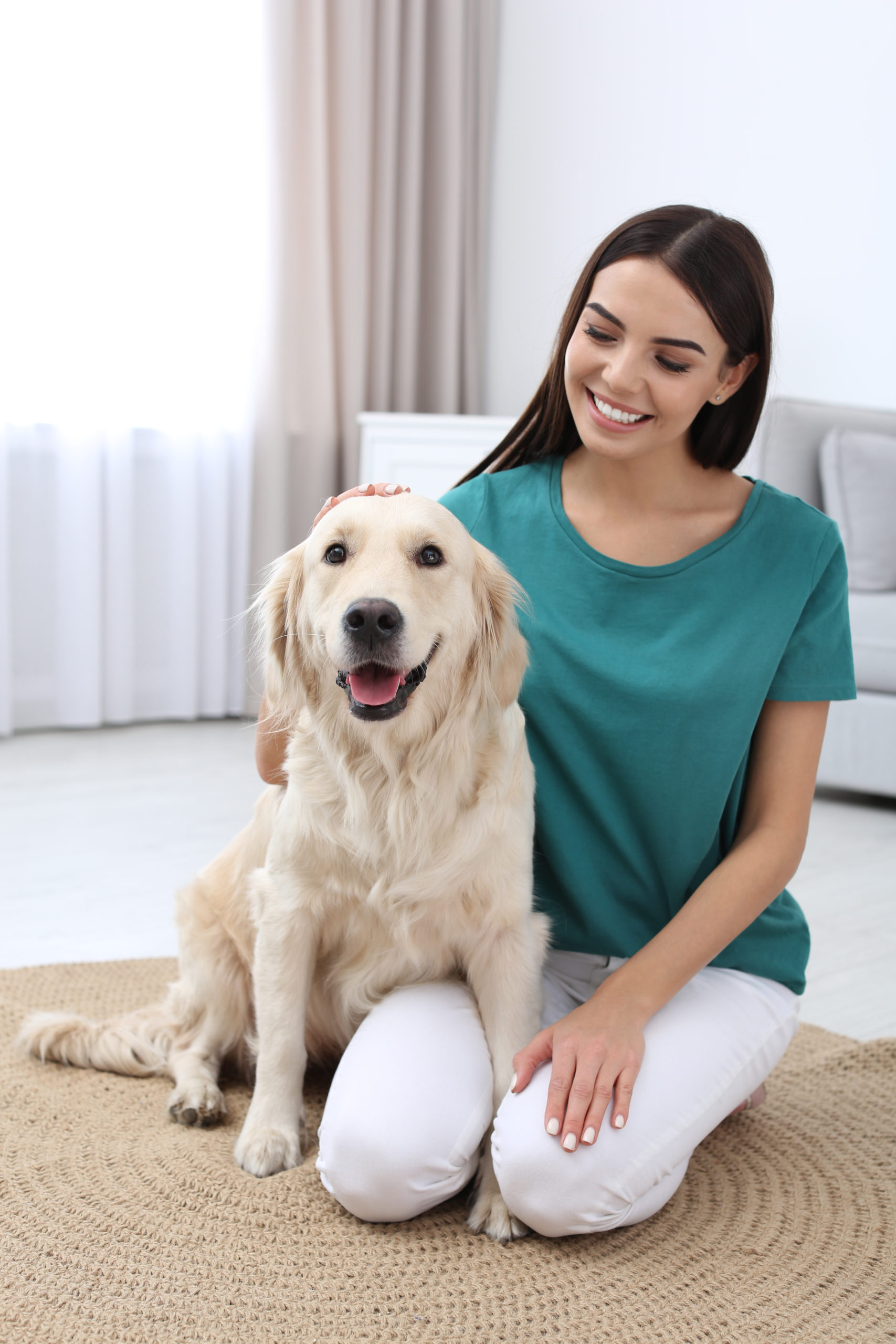 How To Clean Dog Poop From Carpet (StepbyStep Guide)