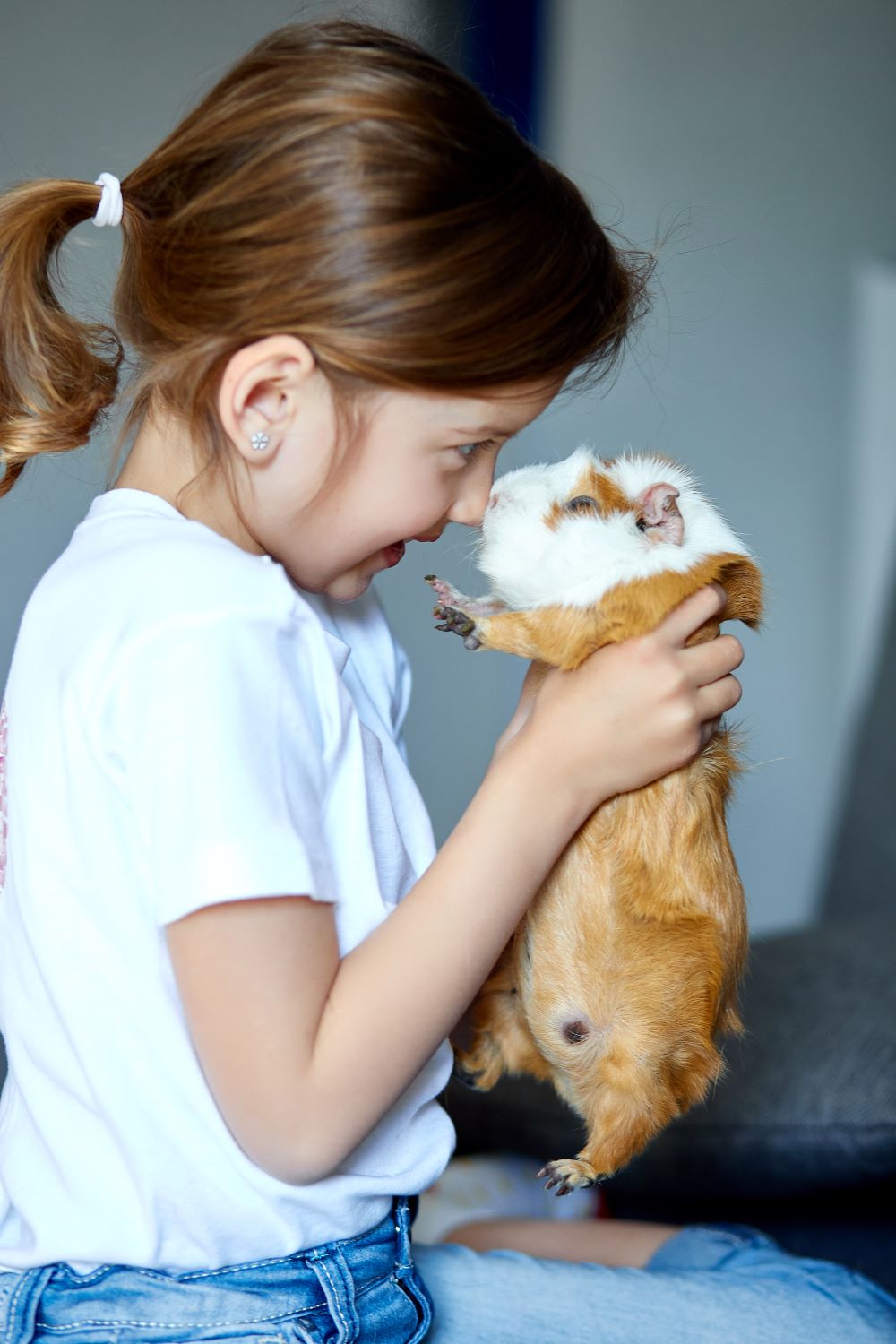 Can Guinea Pigs Drink Water Out Of A Bowl? PetCosset
