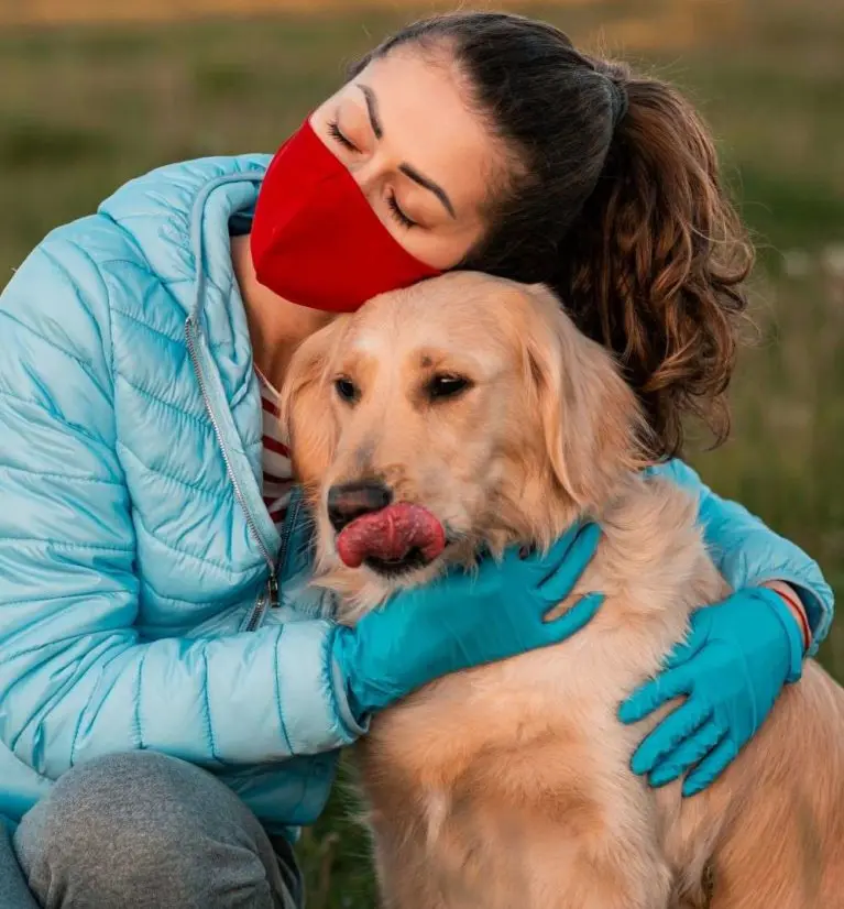 How to calm a dog for nail clipping