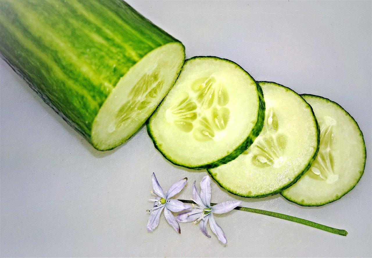 Can Cats Eat Cucumber 4 Potential Benefits