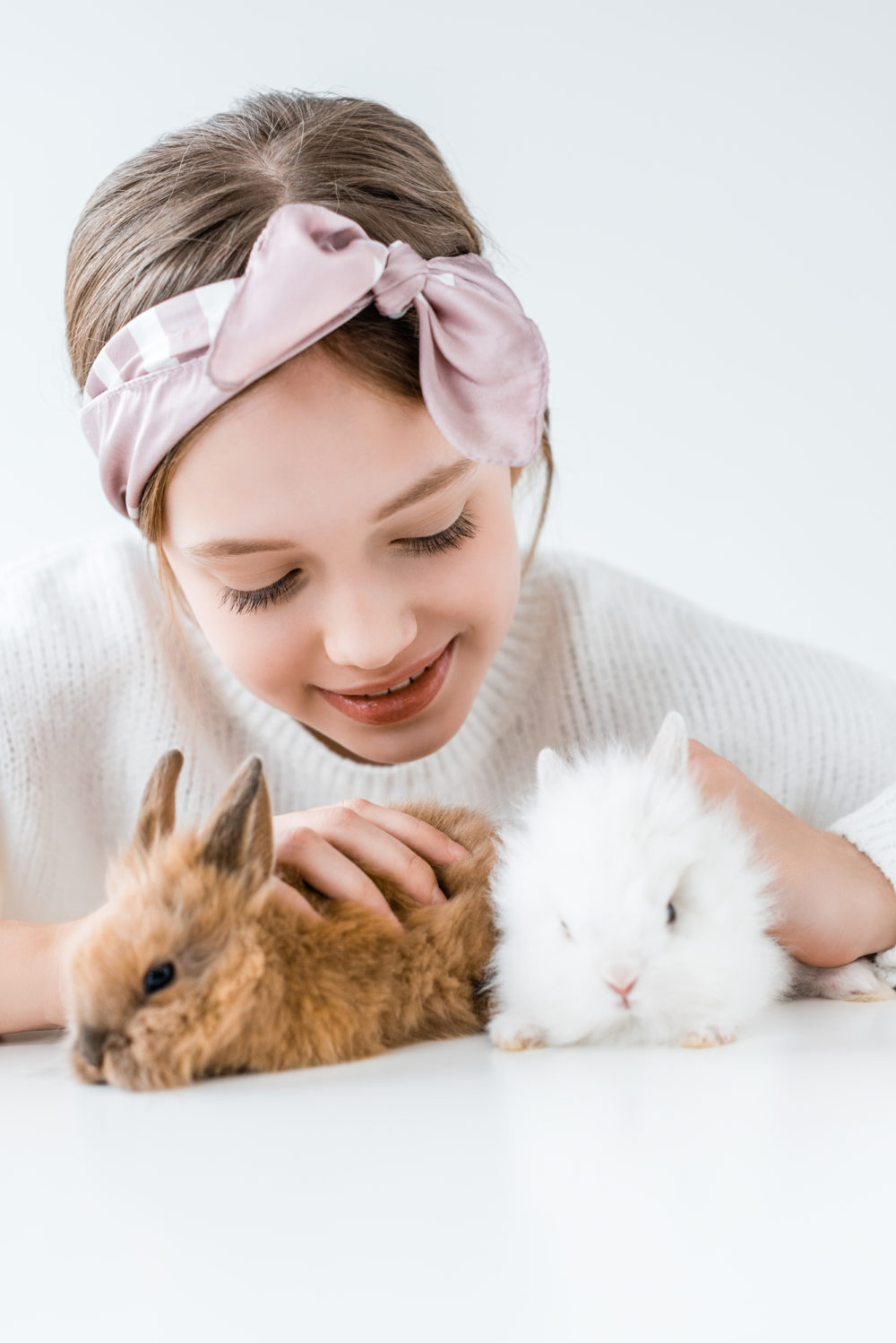 Why Do Rabbits Hop? Facts That You Should Know! PetCosset