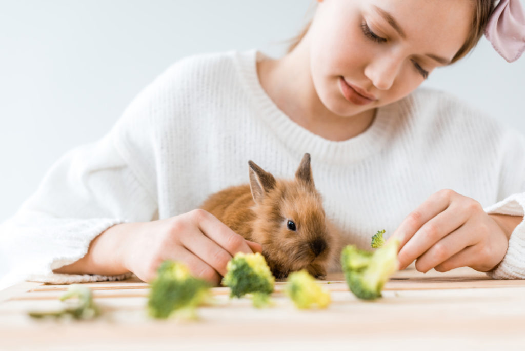 how to stop rabbits from eating their babies