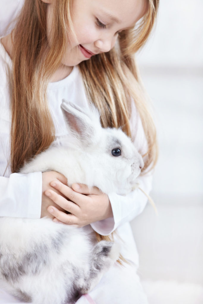 Are Other Citrus Fruits Dangerous To Rabbits