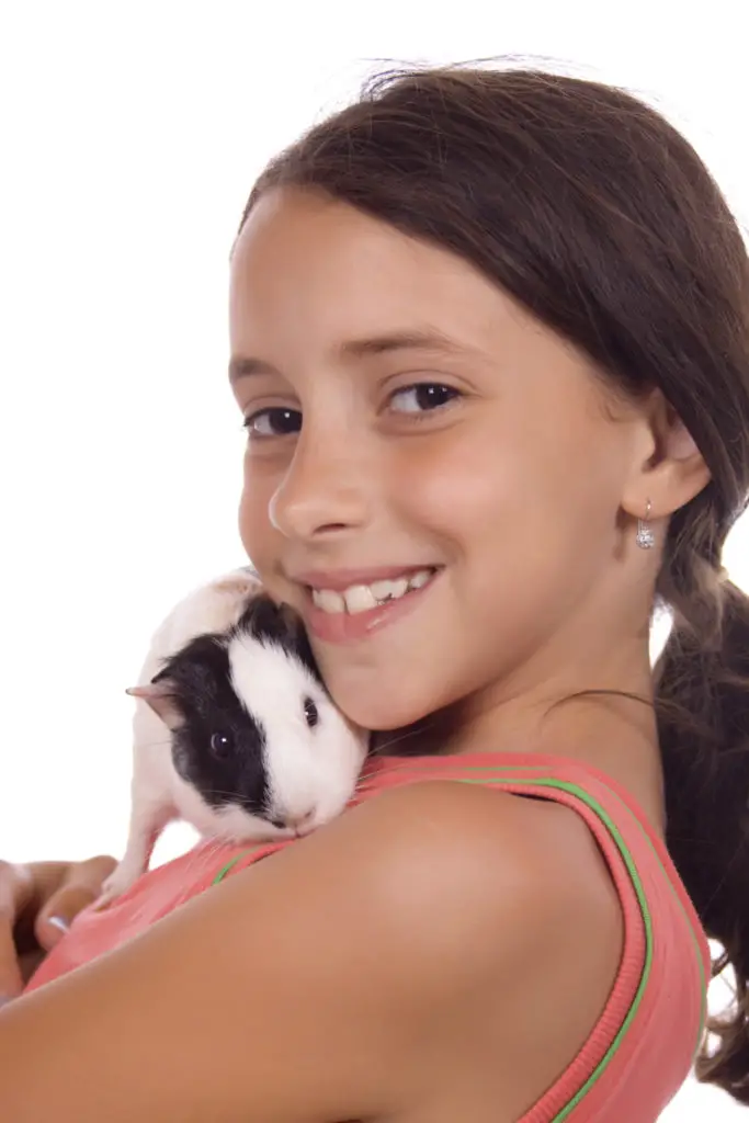 Easy Steps In Cutting A Guinea Pig's Nails