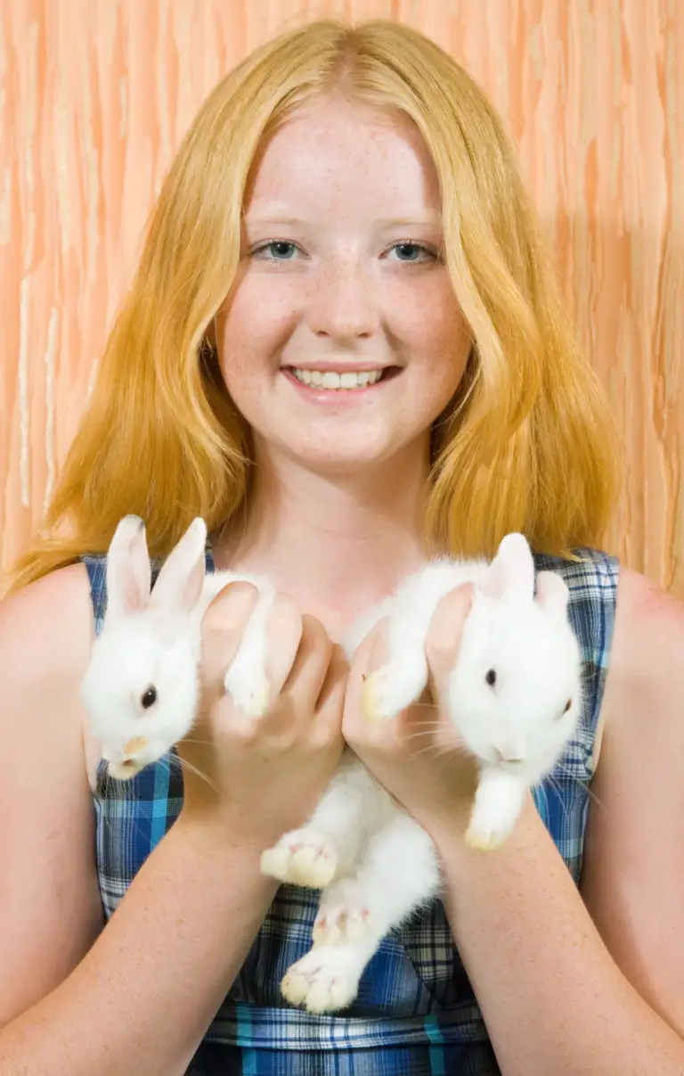 What Can Rabbits Chew On? 6 Amazing Items To Give Them! PetCosset