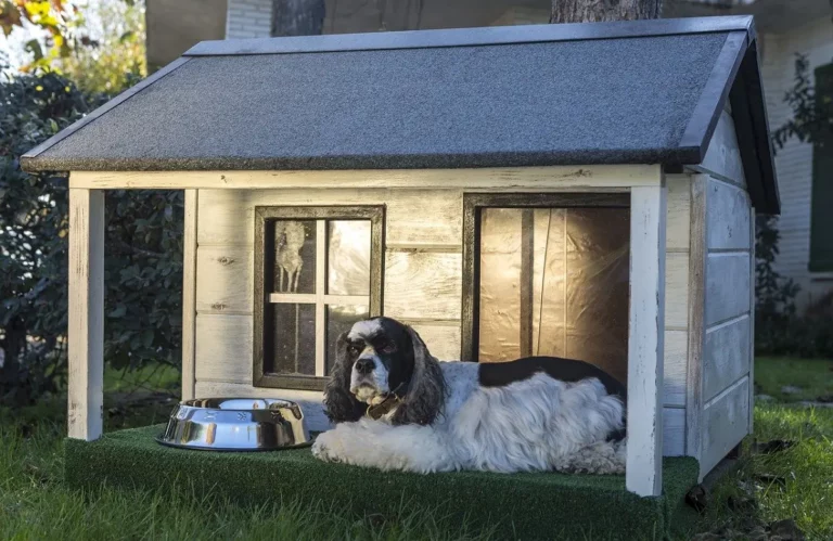 How To Heat A Dog House Without Electricity? 10 Effective Solutions