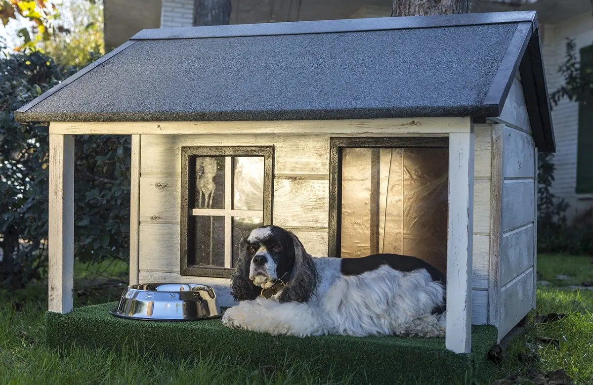 how to heat a dog house without electricity