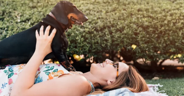 Why Does My Dog Sit On My Chest? 6 Common Reasons