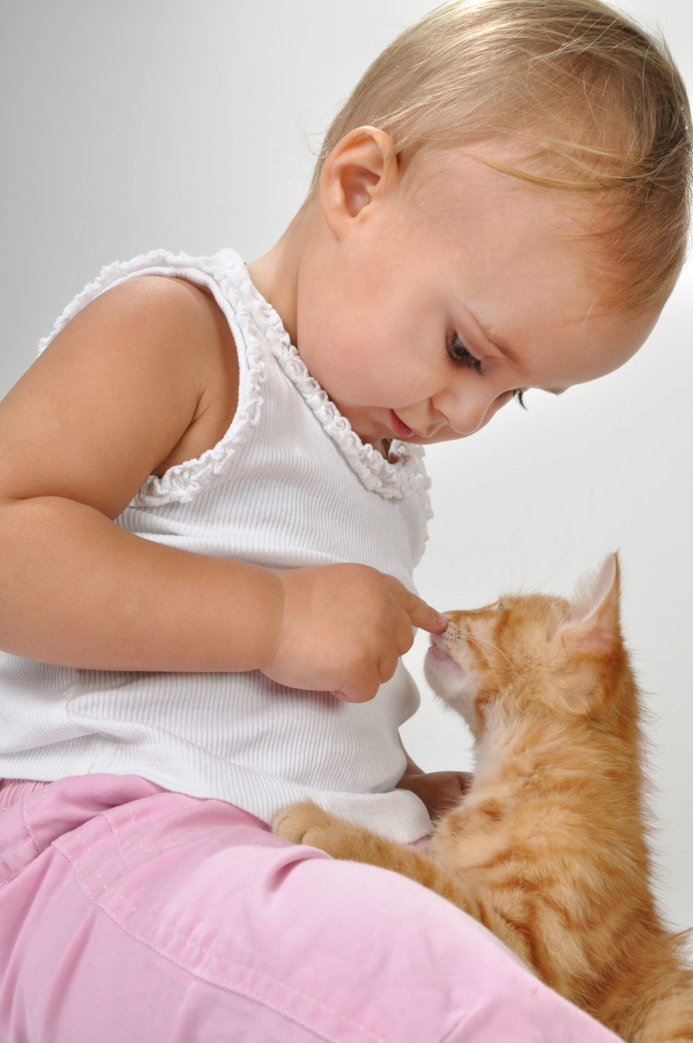 Why Does My Cat Nuzzle My Armpit? 5 Common Reasons