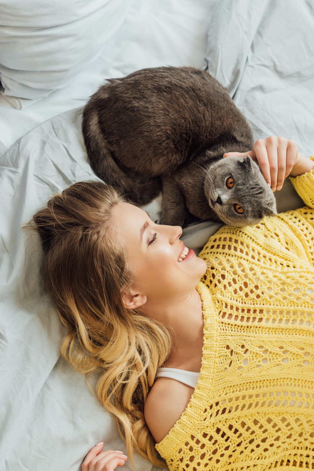 Why Does My Cat Nuzzle My Armpit? 5 Common Reasons
