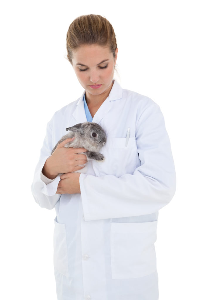 have a veterinarian to palpate your bun