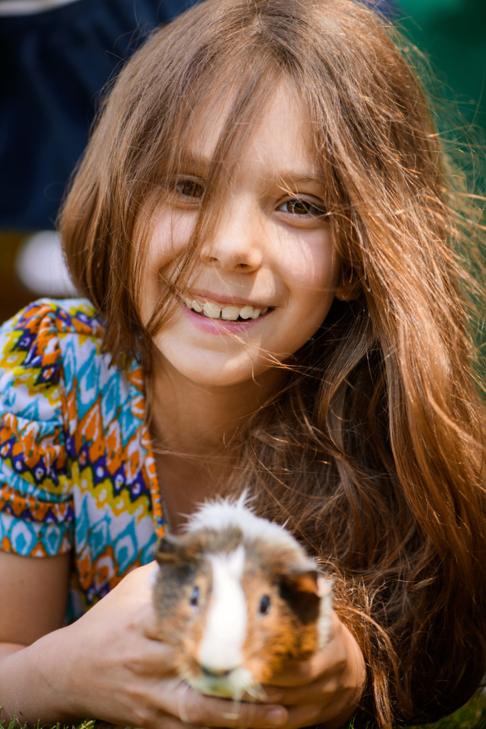 How To Make A Guinea Pig Happy In 8 Easy Steps PetCosset