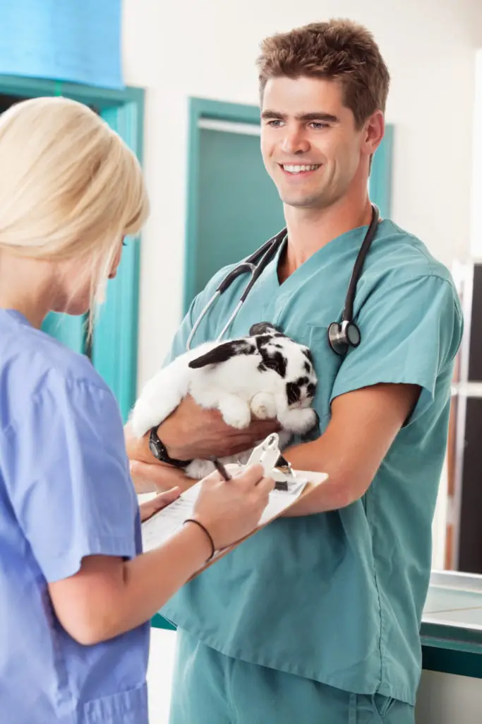 Veterinary care