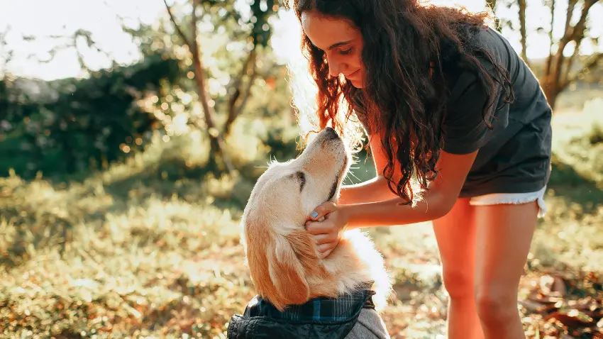 How do I stop my dog from eating my hair