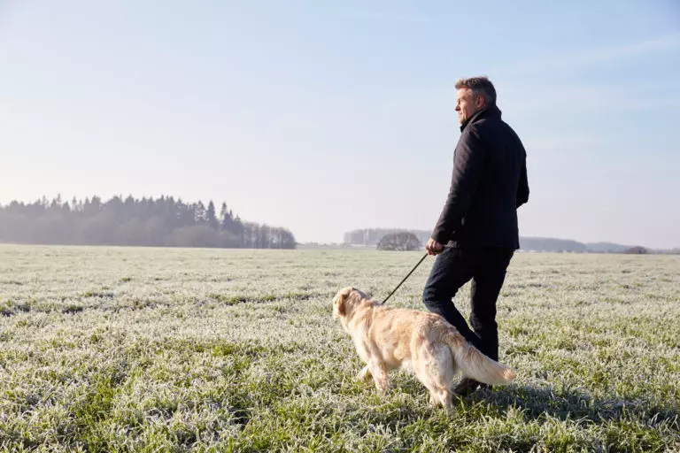 What are the responsibilities of a dog walker