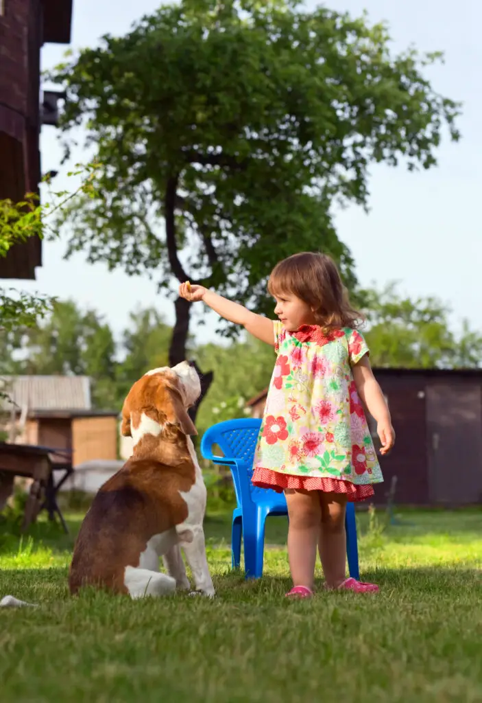 provoked vs unprovoked dog bites child