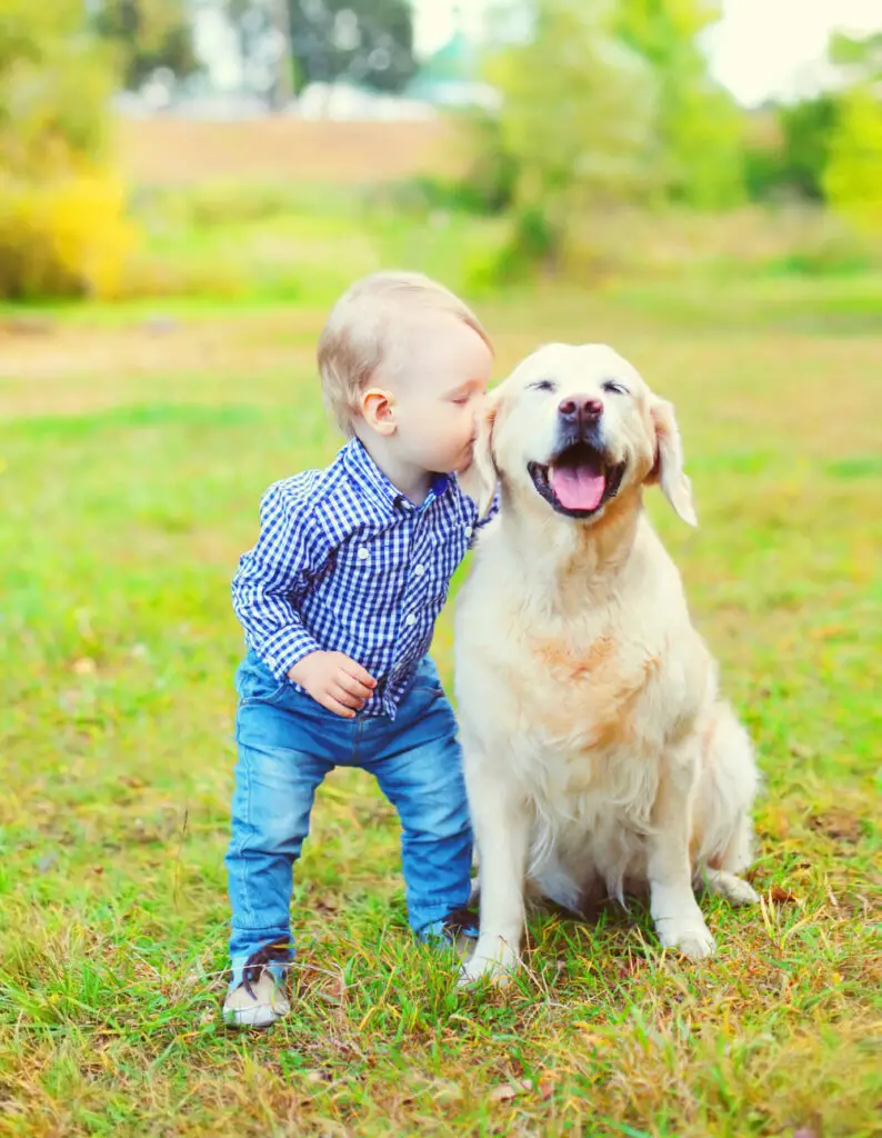 A dog that's wagging its tail won't bite a child