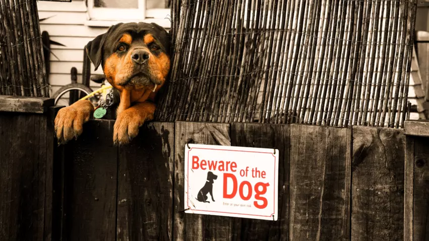 beware of dogs sign
