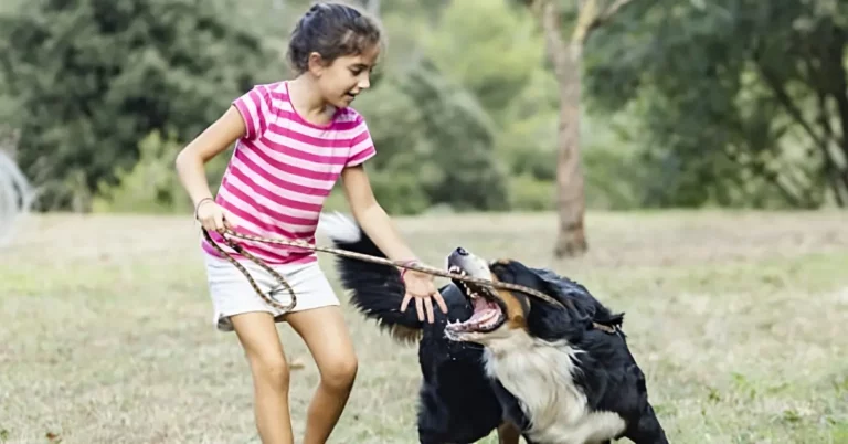 Dog Bites Child: Provoked vs Unprovoked Dog Bite