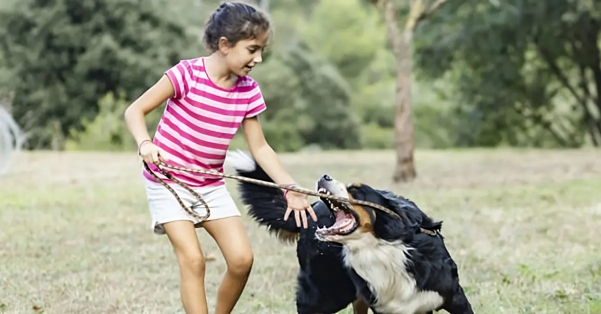 dog bites child