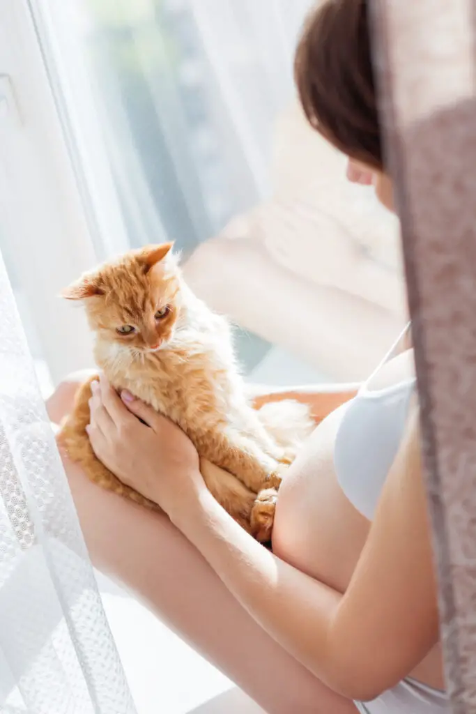Do Cats Get More Affectionate With Age