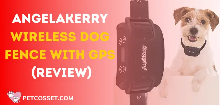 AngelaKerry Wireless Dog Fence with GPS (Review)