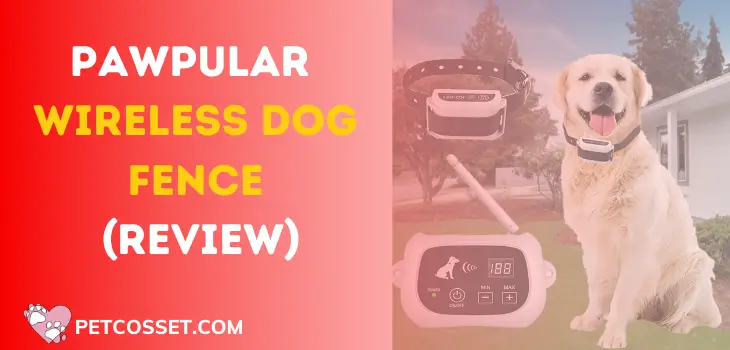 Pawpular Wireless Dog Fence For Hills (Review)