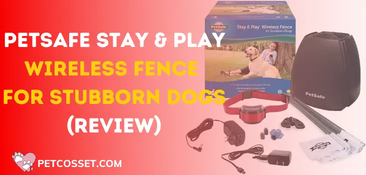 PetSafe PIF00-13663 Stay & Play Wireless Fence For Stubborn Dogs (Review)