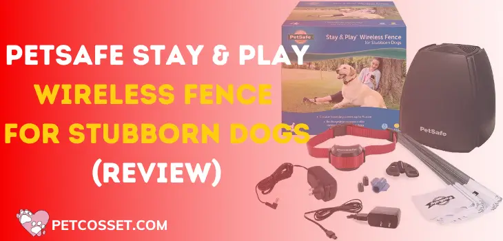 PETSAFE Stay & Play Wireless Fence for Stubborn Dogs 