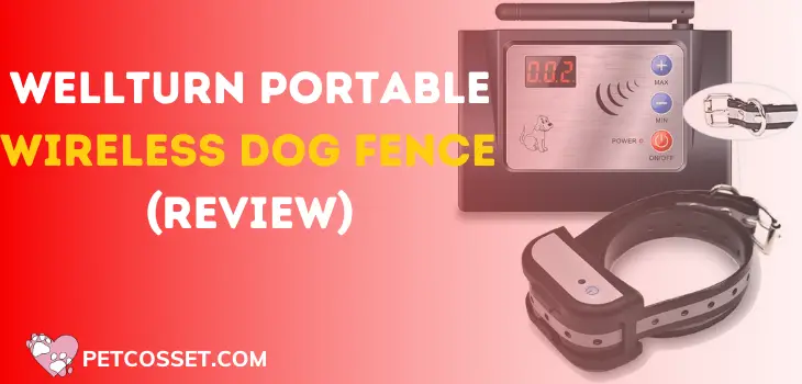 Wellturn Portable Wireless Dog Fence For Long Range (Review)