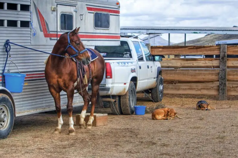 Sundowner trailer problems