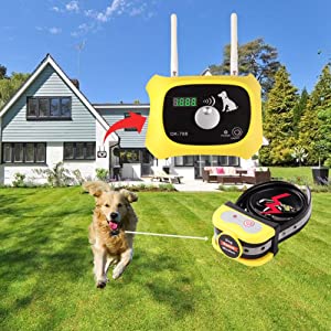 what is the best wireless fence for dogs