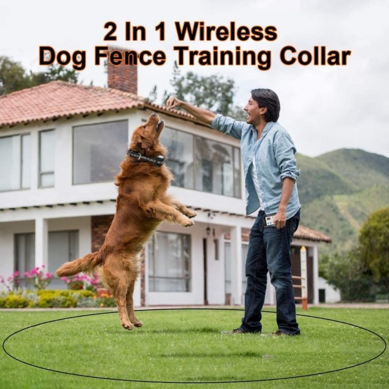 Best Wireless Dog Fence For Large Dogs 5 Reliable Options Here!