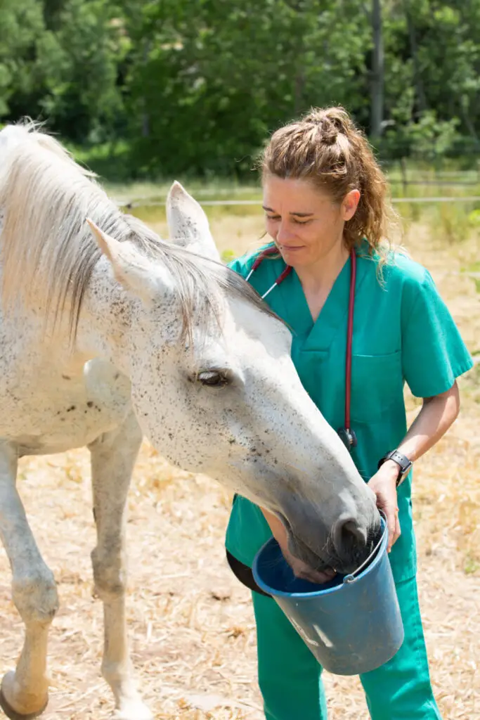 Can Horses Eat Flour