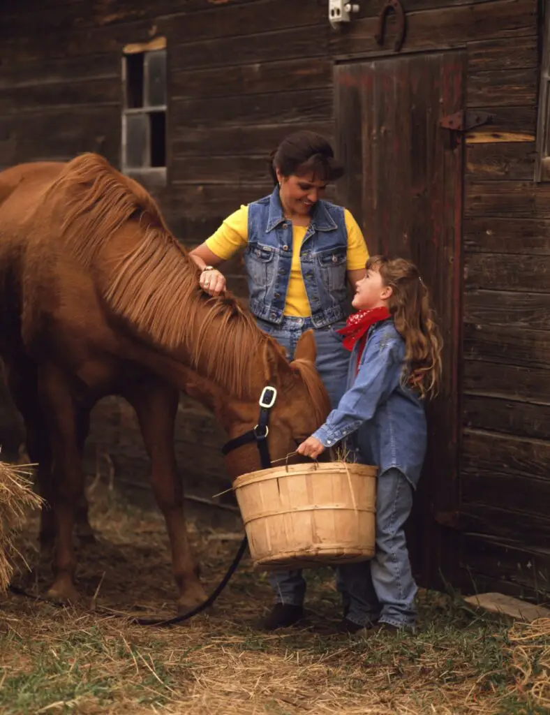 Can Horses Eat Flour