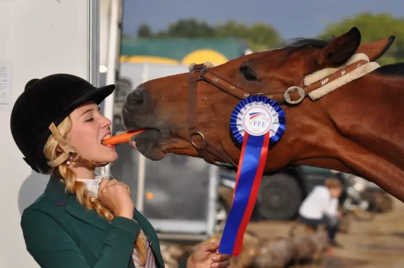 how to cut carrots for horses