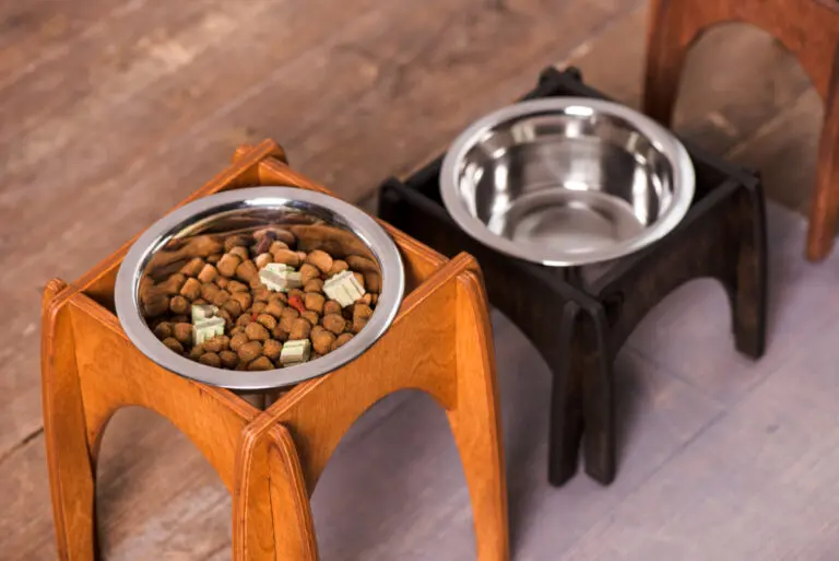 dog food bowls